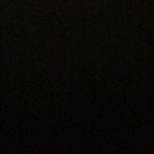 Meet your Posher, Talesha